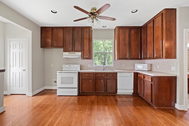 kitchen featuring a ceiling fan, wood finished floors, a sink, under cabinet range hood, and white appliances
