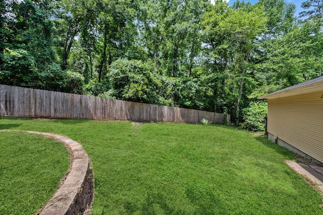 40206 Colfax Rd, Magnolia, TX 77354 - view of yard