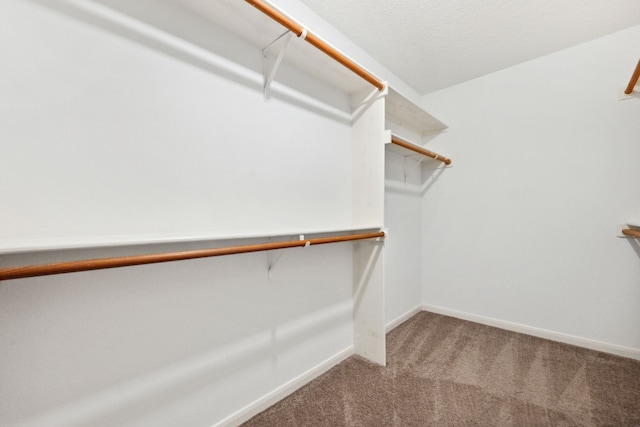 40206 Colfax Rd, Magnolia, TX 77354 - walk in closet featuring carpet floors