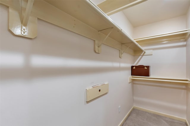 walk in closet featuring carpet floors