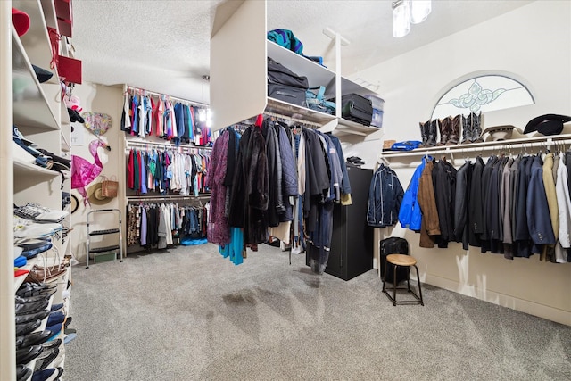 1623 Scenic Shore Dr, Kingwood, TX 77345 - spacious closet featuring carpet floors