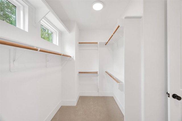 spacious closet with light colored carpet