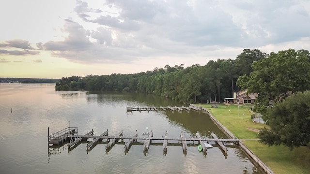 view of water feature featuring a floating dock