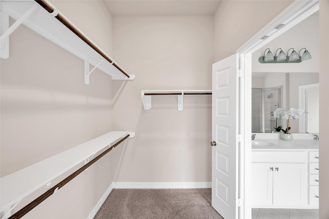 spacious closet featuring a sink and light carpet