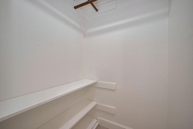 view of walk in closet