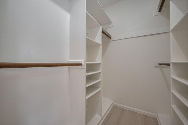 spacious closet featuring light wood-style flooring