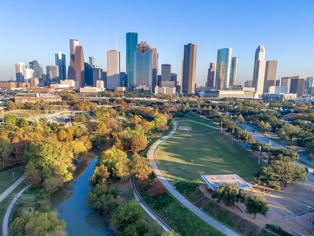 6115 Hamman St, Houston, TX 77007 - city view