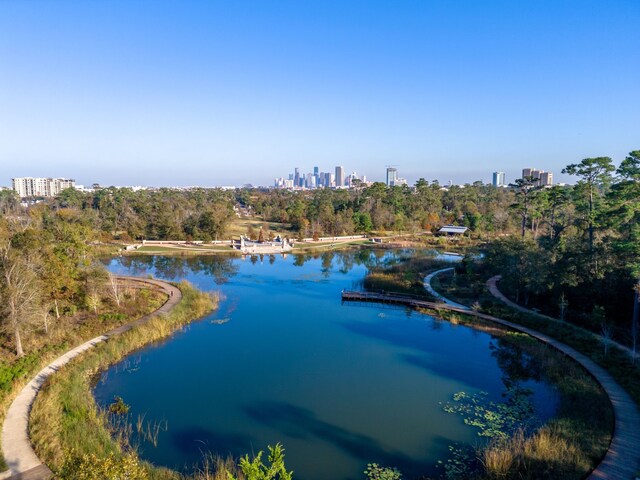 6115 Hamman St, Houston, TX 77007 - bird's eye view of a skyline view and a large body of water