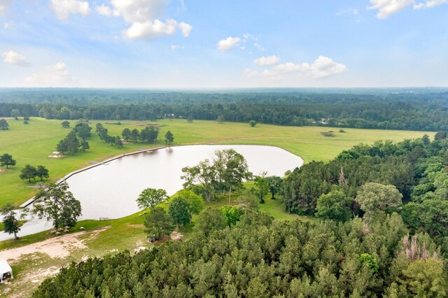 15899 Wood Grove Way, Willis, TX 77378