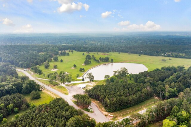 15899 Wood Grove Way, Willis, TX 77378