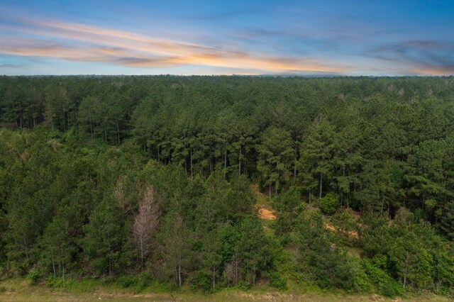 15899 Wood Grove Way, Willis, TX 77378