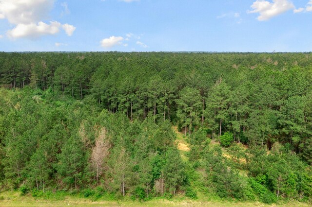 15899 Wood Grove Way, Willis, TX 77378