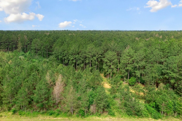 15899 Wood Grove Way, Willis, TX 77378