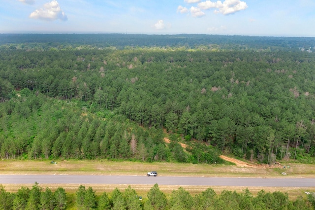 15899 Wood Grove Way, Willis, TX 77378