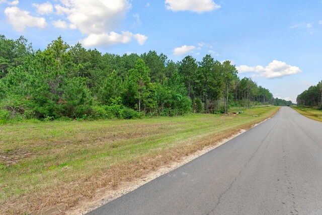 15899 Wood Grove Way, Willis, TX 77378