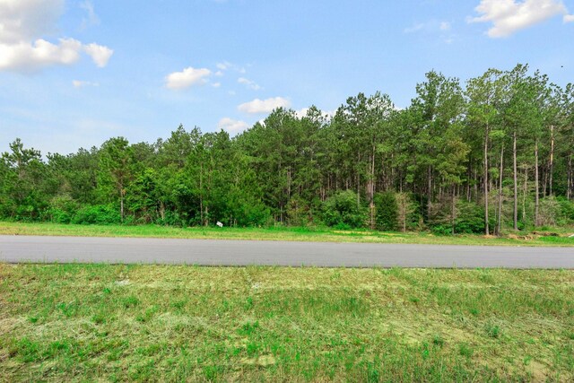 15899 Wood Grove Way, Willis, TX 77378