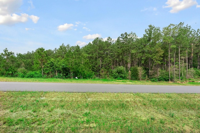 15899 Wood Grove Way, Willis, TX 77378