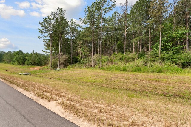 15899 Wood Grove Way, Willis, TX 77378