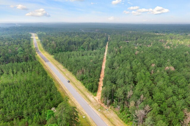15899 Wood Grove Way, Willis, TX 77378