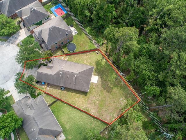 bird's eye view