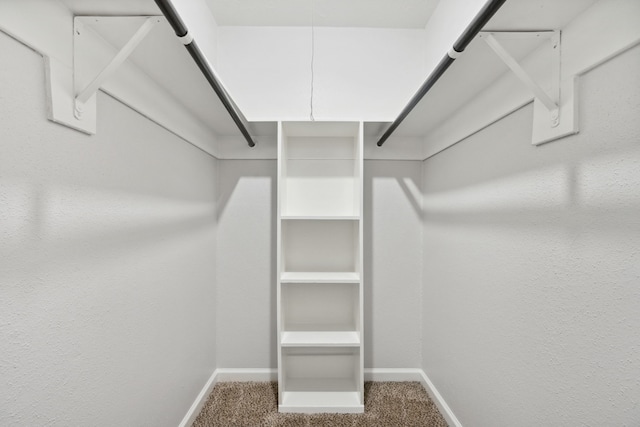 walk in closet with carpet