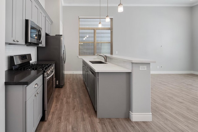 kitchen featuring stainless steel appliances, gray cabinets, a sink, and wood finished floors