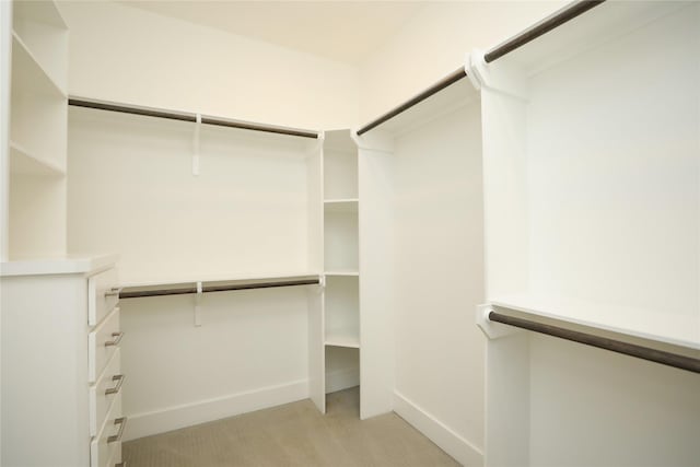 spacious closet with light colored carpet