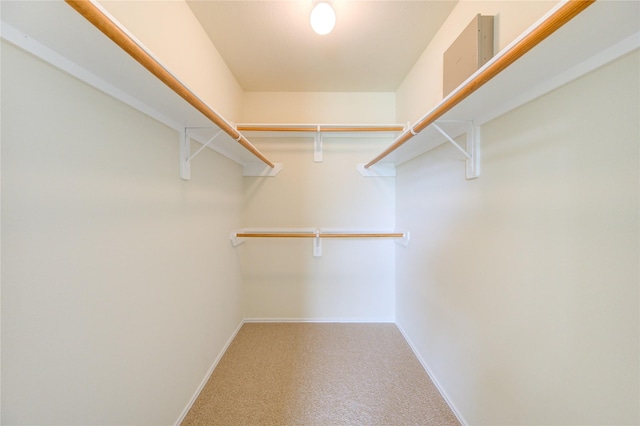 walk in closet with carpet