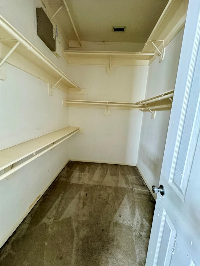walk in closet featuring carpet