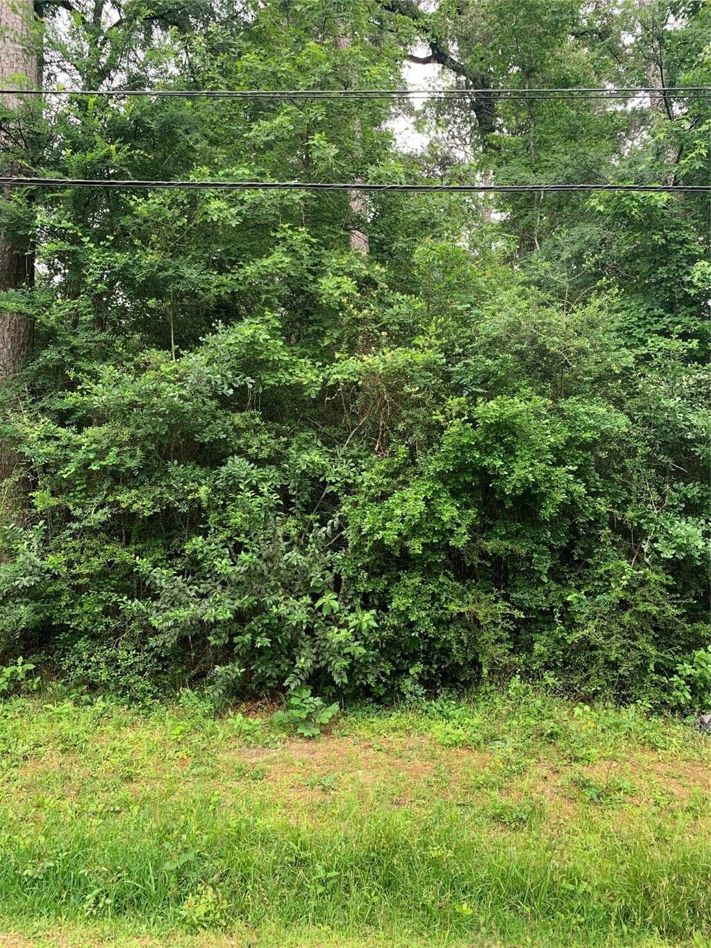 TBD Birch St, Montgomery, TX 77356 - photo 1
