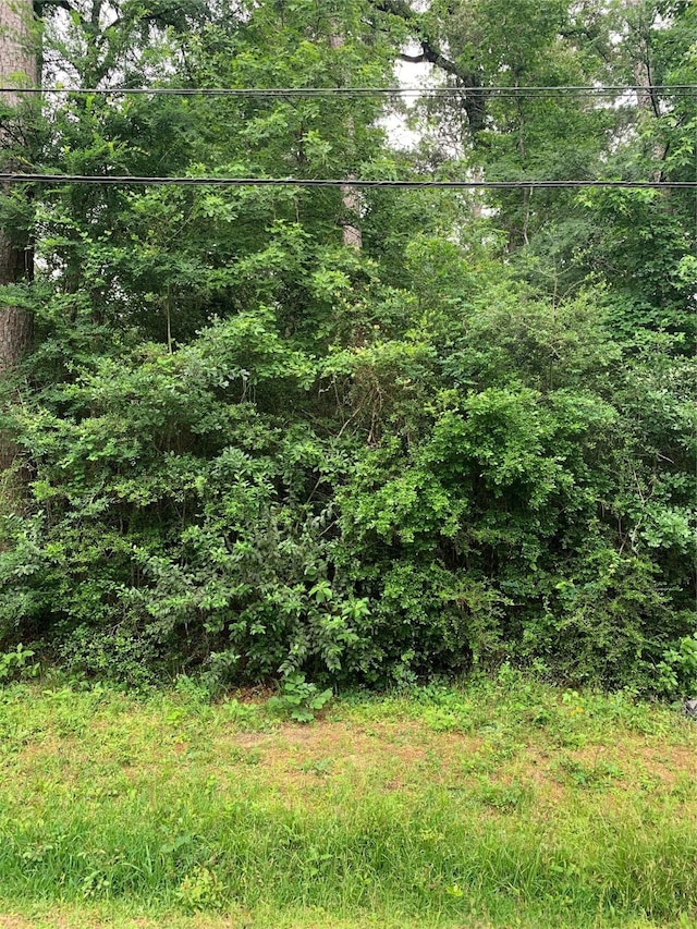 TBD Birch St, Montgomery, TX 77356 - photo 1