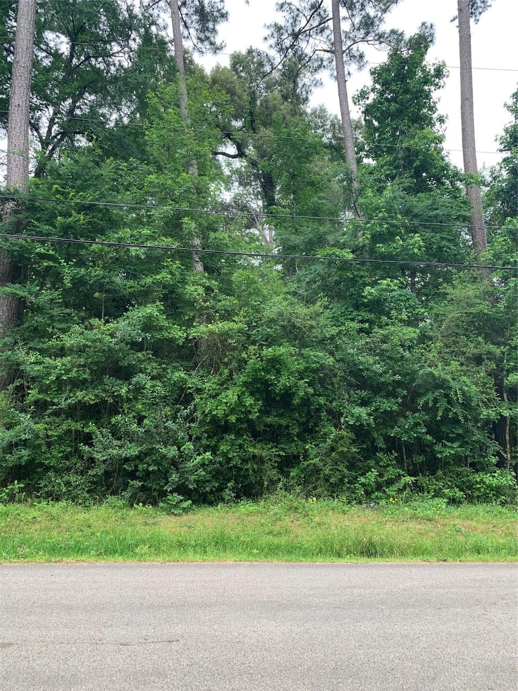 TBD Birch St, Montgomery, TX 77356 - photo 2