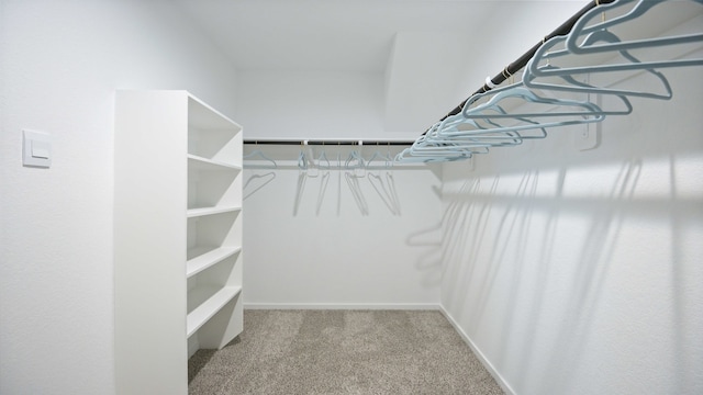 spacious closet with carpet floors