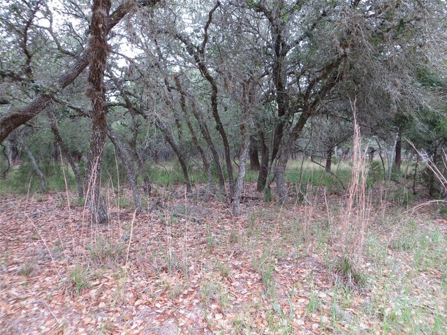00 Hickory Dr, Sheridan, TX 77475