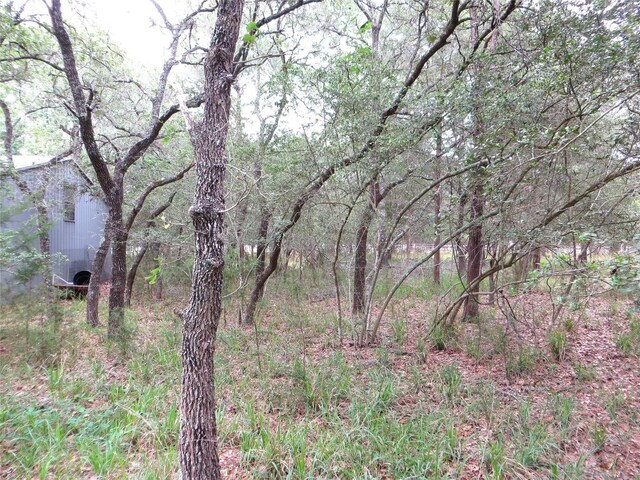 00 Hickory Dr, Sheridan, TX 77475