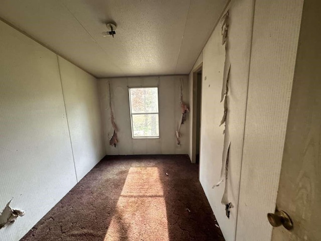 carpeted empty room with a textured ceiling