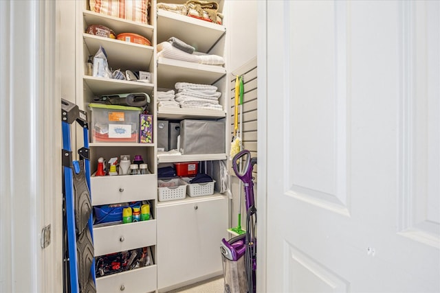 view of closet