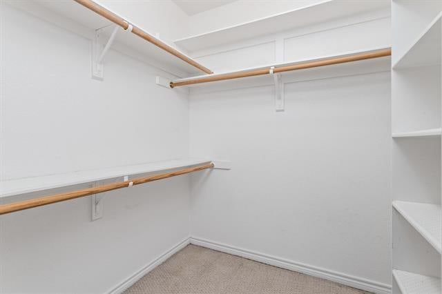 spacious closet featuring light carpet