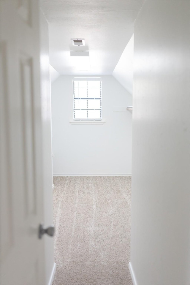 spacious closet featuring visible vents, carpet floors, and vaulted ceiling