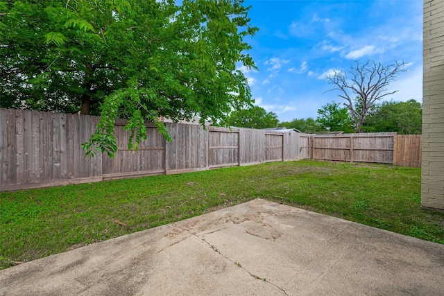 view of yard with a patio and a fenced backyard