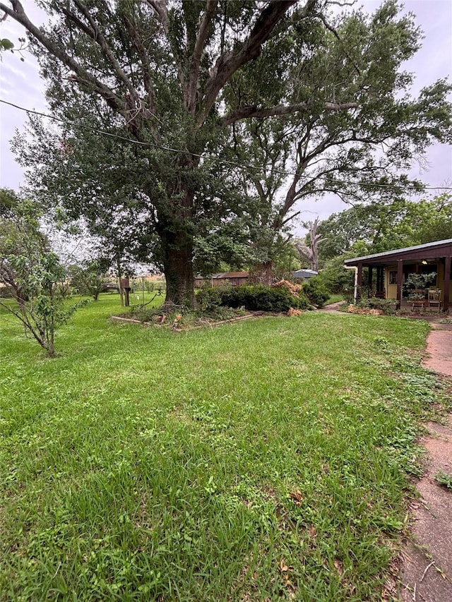 1904 Gun And Rod Rd, Brenham, TX 77833 - view of green lawn