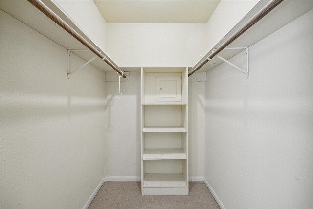 16111 Aspenglenn Dr Unit 404, Houston, TX 77084 - walk in closet featuring carpet flooring