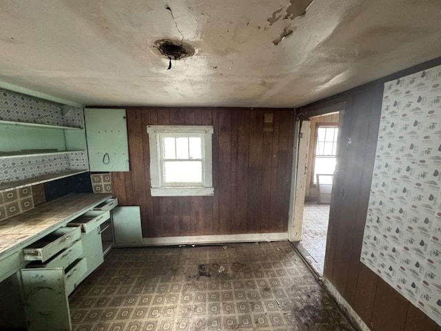 interior space featuring dark floors and wood walls