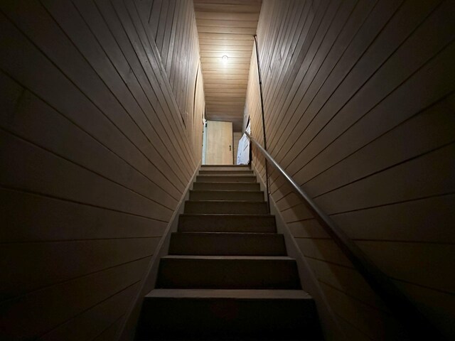 staircase with wooden walls