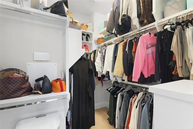 6113 Nicholas Grove Pl, Houston, TX 77055 - view of spacious closet