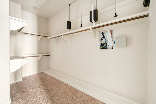 walk in closet with carpet floors