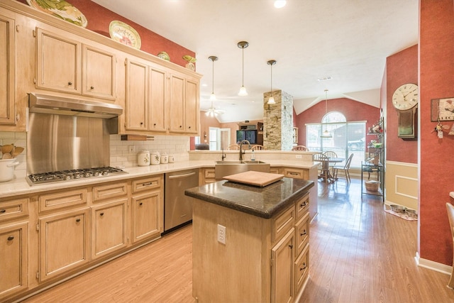 kitchen with a peninsula, under cabinet range hood, light wood-style flooring, appliances with stainless steel finishes, and vaulted ceiling