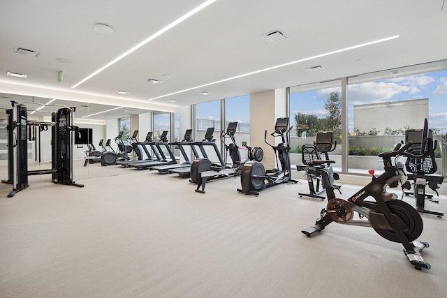 gym with carpet and visible vents