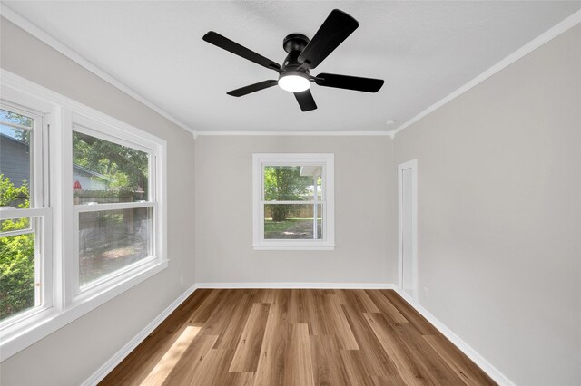 409 24th Ave N, Texas City, TX 77590 - spare room featuring plenty of natural light, wood finished floors, crown molding, and ceiling fan
