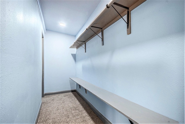 spacious closet with carpet floors